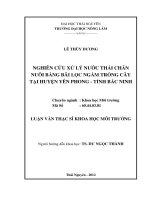Nghiên cứu xử lý nước thải chăn nuôi bằng bãi lọc nước ngầm trồng cây tại huyện yên phong, tỉnh bắc ninh 