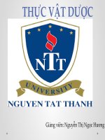 đặc điểm họ cà solanaceae