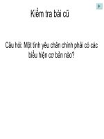 Bài 12. Công dân với tình yêu, hôn nhân và gia đình