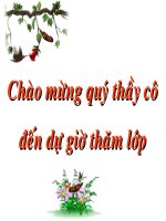 Bài 16. Quyền tham gia quản lí nhà nước, quản lí xã hội của công dân