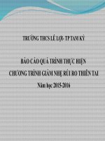 Báo cáo thực hiện chương trình RRTT