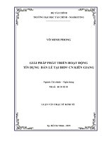 giải pháp phát triển hoạt động tín dụng bán lẻ tại bidv cn kiên giang 