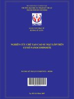 Nghiên cứu chế tạo cao su mặt lốp trên cơ sở nanocomposite