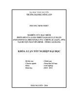 Nghiên cứu đặc điểm phân bố loài thiết sam giả lá ngắn tại huyện nguyên bình, tỉnh cao bằng 