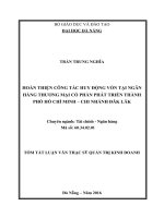 Hoàn thiện công tác huy động vốn tại ngân hàng TMCP phát triển thành phố hồ chí minh, chi nhánh đăk lăk