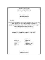 Nghiên cứu tình hình nhiễm, đặc điểm bệnh lý, lâm sàng bệnh do đơn bào leucocytozoo ngây ra ở gà tại huyện phú bình – tỉnh thái nguyên và thử nghiệm quy trình phòng trị bệnh cho gà 