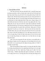 khoá luận tốt nghiệp Giải pháp phòng ngừa và hạn chế rủi ro tín dụng tiêu dùng tại ngân hàng thương mại cổ phần việt nam thịnh vượng