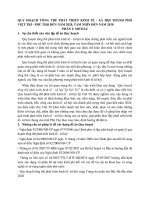 QUY HOẠCH TỔNG THỂ PHÁT TRIỂN KINH TẾ  XÃ HỘI THÀNH PHỐ VIỆT TRÌ  PHÚ THỌ ĐẾN NĂM 2020, TẦM NHÌN ĐẾN NĂM 2030