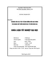 Nghiên cứu các yếu tố ảnh hưởng đến quá trình thu nhận chế phẩm invertase từ nấm men bia 
