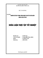 Nghiên cứu quy trình công nghệ sơ chế và bảo quản dược liệu cốt khí 