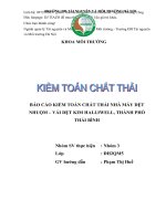 BAO CAO KIEM TOAN CHAT THAI NHA MAY DET NHUOM  HALLIWELL   DJ TIAZO