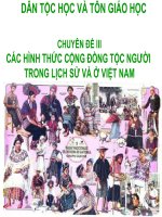 các hình thức tổ chức cộng đồng dân tộc học