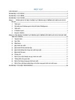 ỨNG DỤNG VI SINH VẬT TRONG QUY TRÌNH SẢN XUẤT RƯỢU NẾP