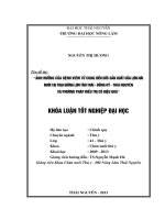 Ảnh hưởng của bệnh viêm tử cung đến sức sản xuất của lợn nái nuôi tại trại giống lợn tân thái   đồng hỷ   thái nguyên và phương pháp điều trị có hiệu quả 