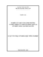 Nghiên cứu khả năng sinh trưởng và phát triển của một số giống ngô lai có triển vọng tại thái nguyên 