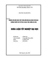 Nghiên cứu điều kiện thủy phân nấm men bia bằng protease thương phẩm thu peptide có hoạt tính chống oxi hóa 