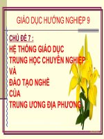 Chủ đề 7. Hệ thống giáo dục Trung cấp chuyên nghiệp và đào tạo nghề của trung ương và địa phương (tuyển sinh trình độ THCS trở lên)