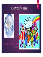Bài 4. Bảo vệ hoà bình