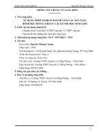 SỬ DỤNG PHÉP NGHỊCH đảo để GIẢI các bài TOÁN  HÌNH học PHẲNG TRONG các kì THI học SINH GIỎI 