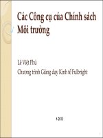 Bài giảng các công cụ của chính sách môi trường   lê việt phú
