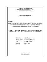 Nghiên cứu sử dụng chế phẩm sinh học SH BV1 phòng trừ tuyến trùng gây nốt sưng và nấm bệnh hại rễ cây hồ tiêu 
