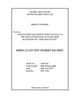Đánh giá hiệu quả kinh tế trong sản xuất và tiêu thụ sản phẩm chè tại xã hoà bình huyện đồng hỷ tỉnh thái nguyên 