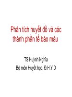 Bài giảng phân tích huyết đồ và các thành phần tế bào máu   TS  huỳnh nghĩa