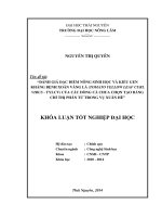 Đánh giá đặc điểm nông sinh học và kiểu gen kháng bệnh xoăn vàng lá của các dòng cà chua chọn tạo bằng chỉ thị phân tử trong vụ xuân hè 