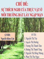 sự thích nghi của thực vật trong môi trường bùn lầy ngập mặn
