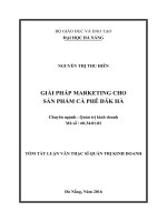 Giải pháp marketing cho sản phẩm cà phê đăk hà