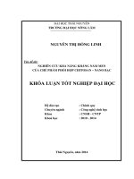 Nghiên cứu khả năng kháng nấm men của chế phẩm phối hợp chitosan – nano bạc 