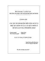 các yếu tố ảnh hưởng đến năng suất và hiệu quả kinh tế của cây quýt hồng ở huyện lai vung, tỉnh đồng tháp 