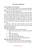 Giáo trình Hoá phân tích