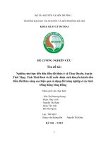 Nghiên cứu thực tiễn dồn điền đổi thửa ở thụy duyên, thái thụy, thái bình và đề xuất chính sách khuyến khích dồn điền đổi thửa nâng cao hiệu quả sử dụng đất nông nghiệp ở các tỉnh đồng bằng sông hồng 