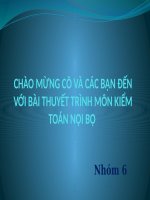 bài thuyết trình hệ thống kiểm soát nội bộ tại chi nhánh thuốc bảo vệ thực vật
