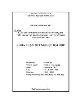 Đánh giá tình hình sản xuất và tiêu thụ rau trên địa bàn xã huống thượng   huyện đồng hỷ   tỉnh thái nguyên 