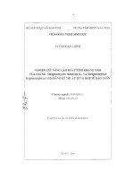 Nghiên cứu nâng cao hoạt tính kháng sinh của chủng streptomyces rimosus 