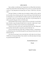 Giải pháp phát triển thương hiệu cho công ty trách nhiệm hữu hạn hava’s đến năm 2020