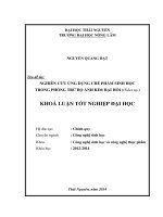 Nghiên cứu ứng dụng chế phẩm sinh học trong phòng trừ bọ ánh kim hại hồi 