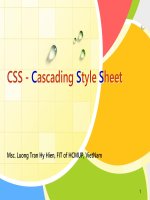 Bài giảng phát triển ứng dụng web – web programming  chương 2   định nghĩa style, phân loại và cách sử dụng CSS,Selector trong CSS