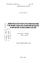 Nghiên cứu các yếu tố nguy cơ còi xương dinh dưỡng ở trẻ em dưới 3 tuổi tại một số vùng miền núi phía bắc và hiệu quả điều trị bằng vitamin d liều thấp 