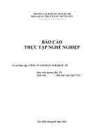 HOẠT ĐỘNG KINH DOANH lữ HÀNH và HOẠT ĐỘNG HƯỚNG dẫn tại CÔNG TY STD QUỐC tế 