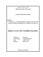 Tách dòng và xác định trình tự gene glta mã hóa cho enzyme citrate synthase từ vi khuẩn e  coli 