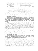 Kế hoạch đảm bảo trật tự an toàn xã hội và kiềm chế thanh thiếu niên vi phạm pháp luật trên địa bàn xã Trường Xuân năm 2016