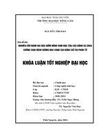 Nghiên cứu đánh giá đặc điểm nông sinh học của các dòng cà chua chống chịu bệnh sương mai chọn tạo bằng chỉ thị phân tử 