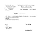 MẪU VĂN BẢN HÀNH CHÍNH