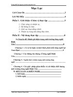 Báo cáo thực tập đánh giá hiện trạng môi trường làng nghề bình yên 