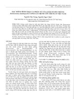 Đặc điểm hình thái và phân tử của loài tuyến trùng ký sinh gây bệnh côn trùng, steinernema siamkayai ở việt nam 
