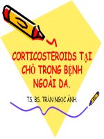 Bài giảng corticosteroids tại chỗ trong bệnh ngoài da   TS  BS  trần ngọc ánh