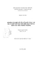 Nghiên cứu một số yếu tố khởi động, cơ địa và một số thay đổi miễn dịch trong bệnh vảy nến thông thường 
